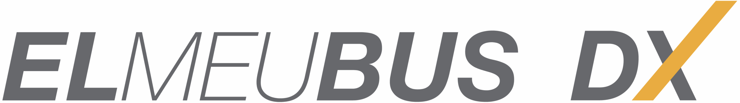 ElMeuBus DX