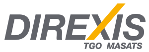 Logotip de l'empresa DIREXIS TGO i DIREXIS MASATS